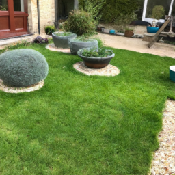 Techniques de taille pour maintenir un jardin esthétique et en bonne santé Bezons